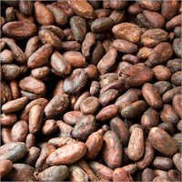 Organic Raw Cocoa Beans