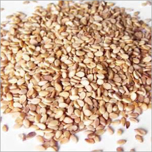 Organic Raw Sesame Seeds Organic Raw Sesame Seeds