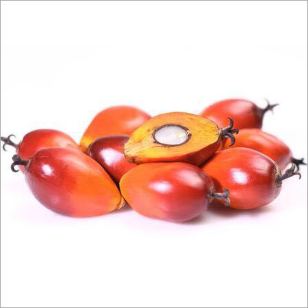 Organic Raw Palm Kernel Nuts Organic Raw Palm Kernel Nuts
