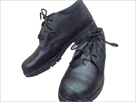 Hind Ankle