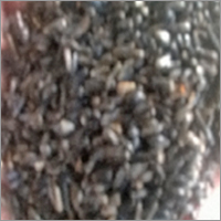 Fresh Niger Seed