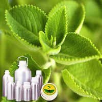 Ajowan Oil - Premium Quality Cold-pressed Extraction | Natural Flavor Enhancer, Rich In Antioxidants