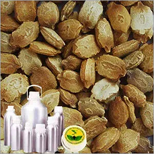 Bitter Gourd(karela) Seed Oil Bitter Gourd(karela) Seed Oil