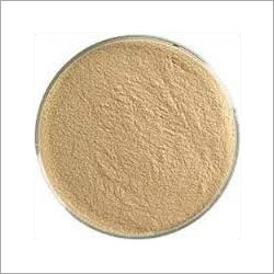 Bromelain Powder By Enzyme Bioscience Pvt. Ltd.