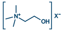 Choline Bitartrate