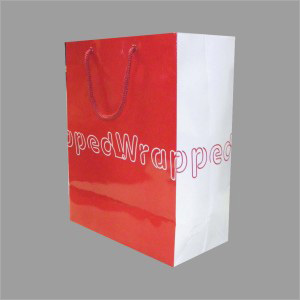 Printed Carry Bags
