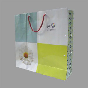Carry Bags