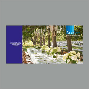 Brochures Printing Services