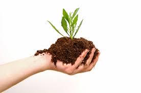 Fertilizer Testing Services