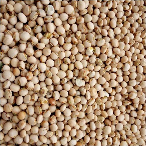 Pigeon Peas