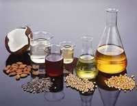 Petroleum Chemical Testing Services
