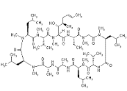 Ciclosporin