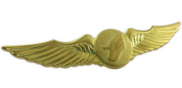 Wing Lapel Pin