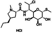 Clindamycin Hydrochloride Application: Medicine