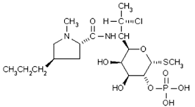 Clindamycin phosphate