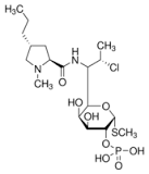 Clindamycin phosphate for system suitability