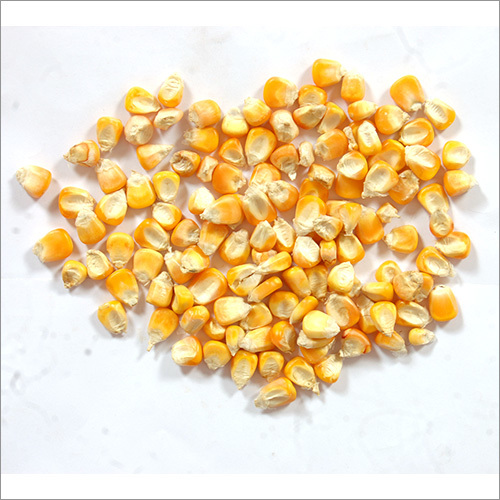 Yellow Maize Grain Admixture (%): 2%