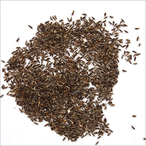 Black Niger Seeds