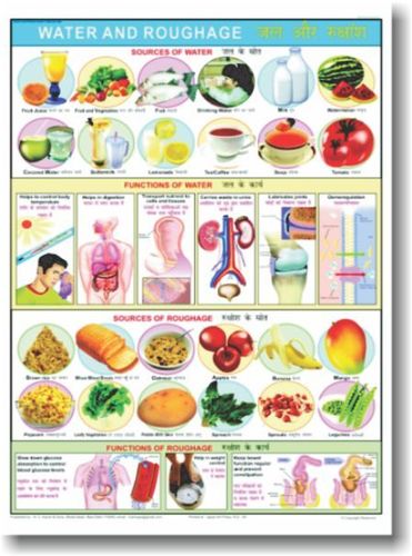 Charts Water & Roughage