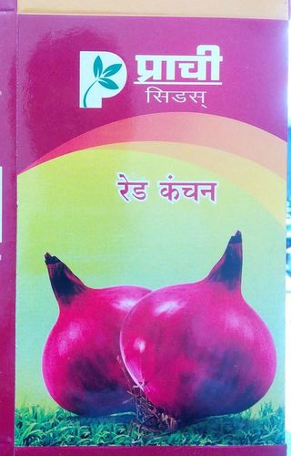 Red Kanchan Onion Seeds