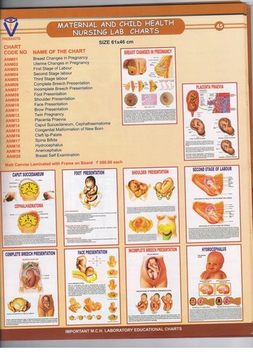 Nursing Charts