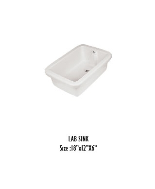 Lab Sink