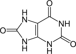 Complex Nutrients In Seawater - Whole Volume - Wp