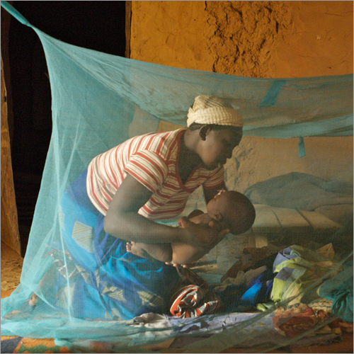 Mosquito Nets