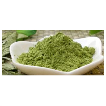 Moringa Oleifera Leaves Powder Moringa Oleifera Leaves Powder