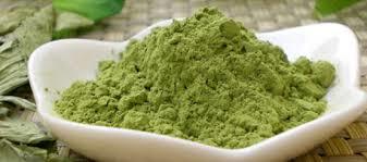 Stevia Leaves Powder
