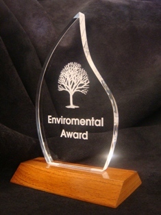 Acrylic Trophy - Acrylic & Wood, 150x80 mm, Clear | Laser Etched, Elegant Design, Customizable Award