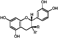 Crataegus Spp. Extract Application: Food