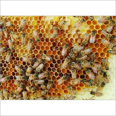 Natural Beeswax