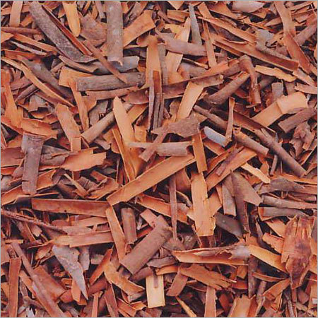 Broken Cassia