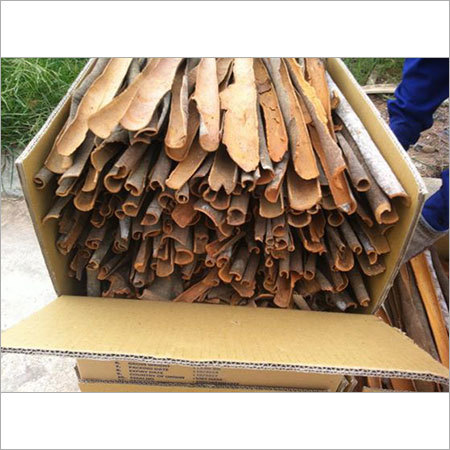 Split Cassia