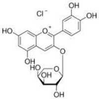 Cyanidin 3-o-i -l-arabinoside Chloride Application: Industrial