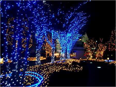 LED Light