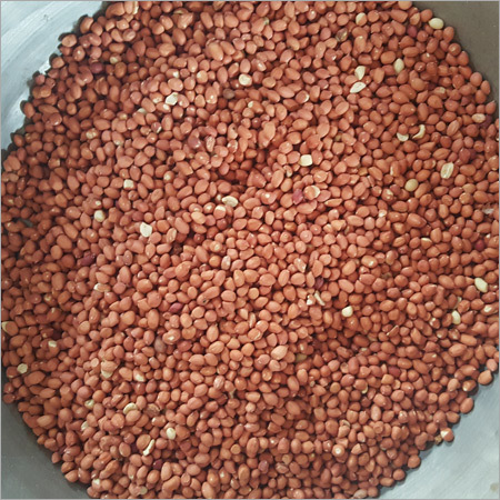Peanut Kernel