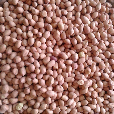 Bold Peanut Kernels