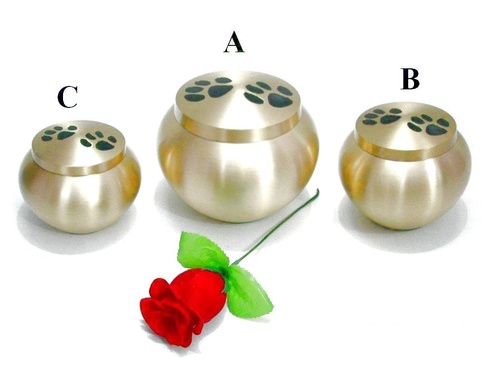 Brass Pet Urns Odyssey Brushed Brass