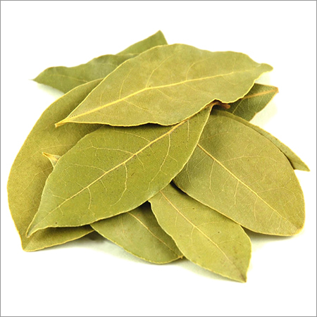 Bay Leaves