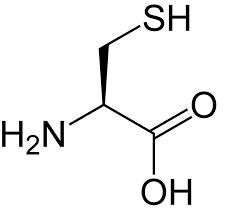 Cystine