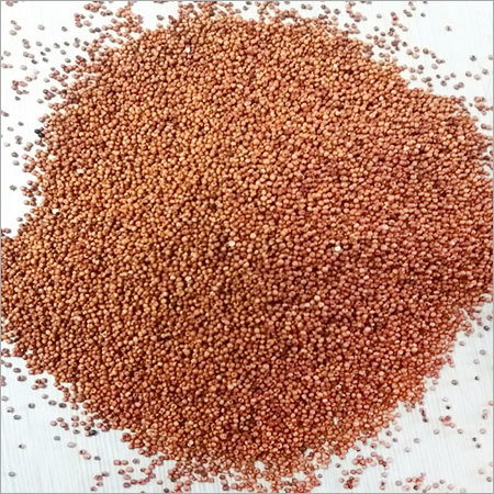 Finger Millet