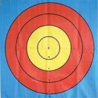 Target Face for Archery 124 x 124 Inch