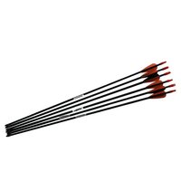 Barnett Junior Target Practice carbon Fiber Arrows Set of 6
