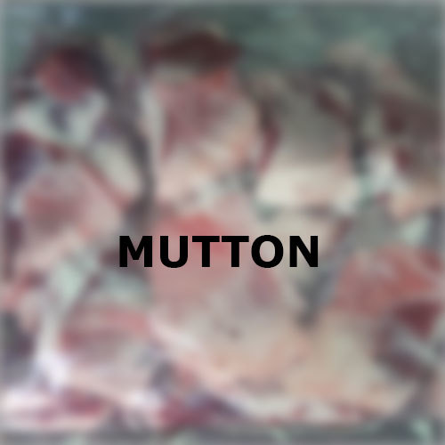 Fresh Mutton
