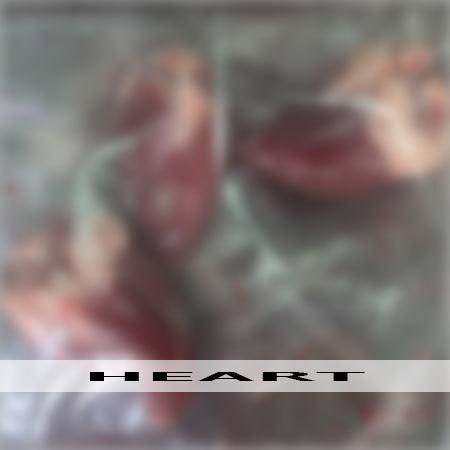 Goat Heart Meat