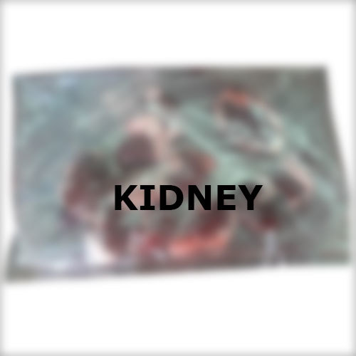 Goat Kidney Meat