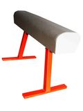 Vaulting Horse