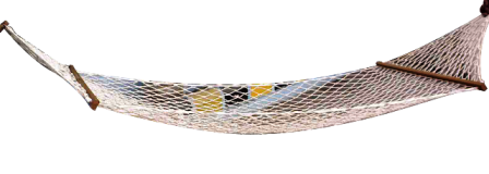 Hammock Net